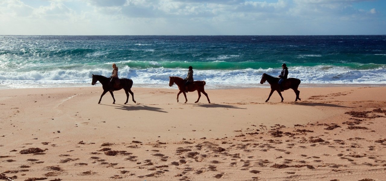 Horseriding at Domaine de Murtoli